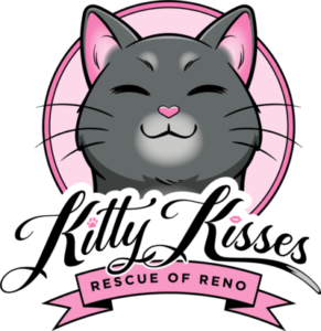 Kitty Kisses Cat Cafe & Rescue